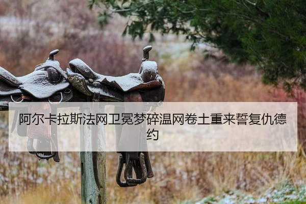 阿尔卡拉斯法网卫冕梦碎温网卷土重来誓复仇德约
