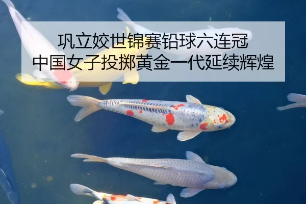 巩立姣世锦赛铅球六连冠 中国女子投掷黄金一代延续辉煌