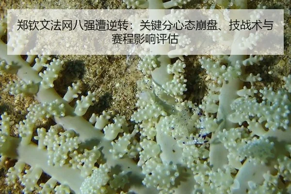 郑钦文法网八强遭逆转：关键分心态崩盘、技战术与赛程影响评估