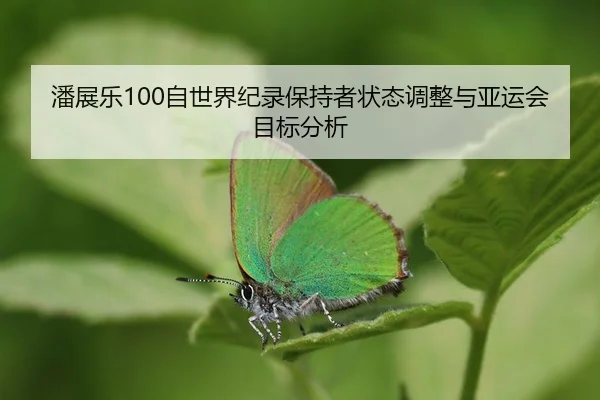pan-zhan-le-zi-shi-jie-ji-lu-bao-chi-zhe-zhuang-tai-tiao-zheng-yu-ya-yun-hui-mu-biao-fen-xi-3-530.jpg
